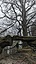 IMG-20240324-WA0018.jpg