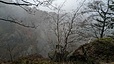 IMG-20240324-WA0025.jpg