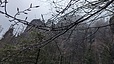 IMG-20240324-WA0035.jpg