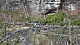IMG-20260321-WA0014.jpg
