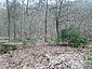 IMG_20230318_120010_655.jpg