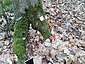 IMG_20230318_120204_484.jpg
