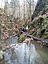 IMG_20230318_123419_599.jpg
