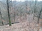 IMG_20230318_124108_796.jpg