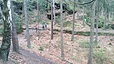 IMG_20240323_104441_691.jpg