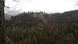 IMG_20240323_114631_665.jpg