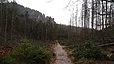 IMG_20240323_133131_639.jpg