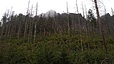 IMG_20240323_133848_576.jpg