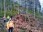 IMG_20260321_132445.jpg